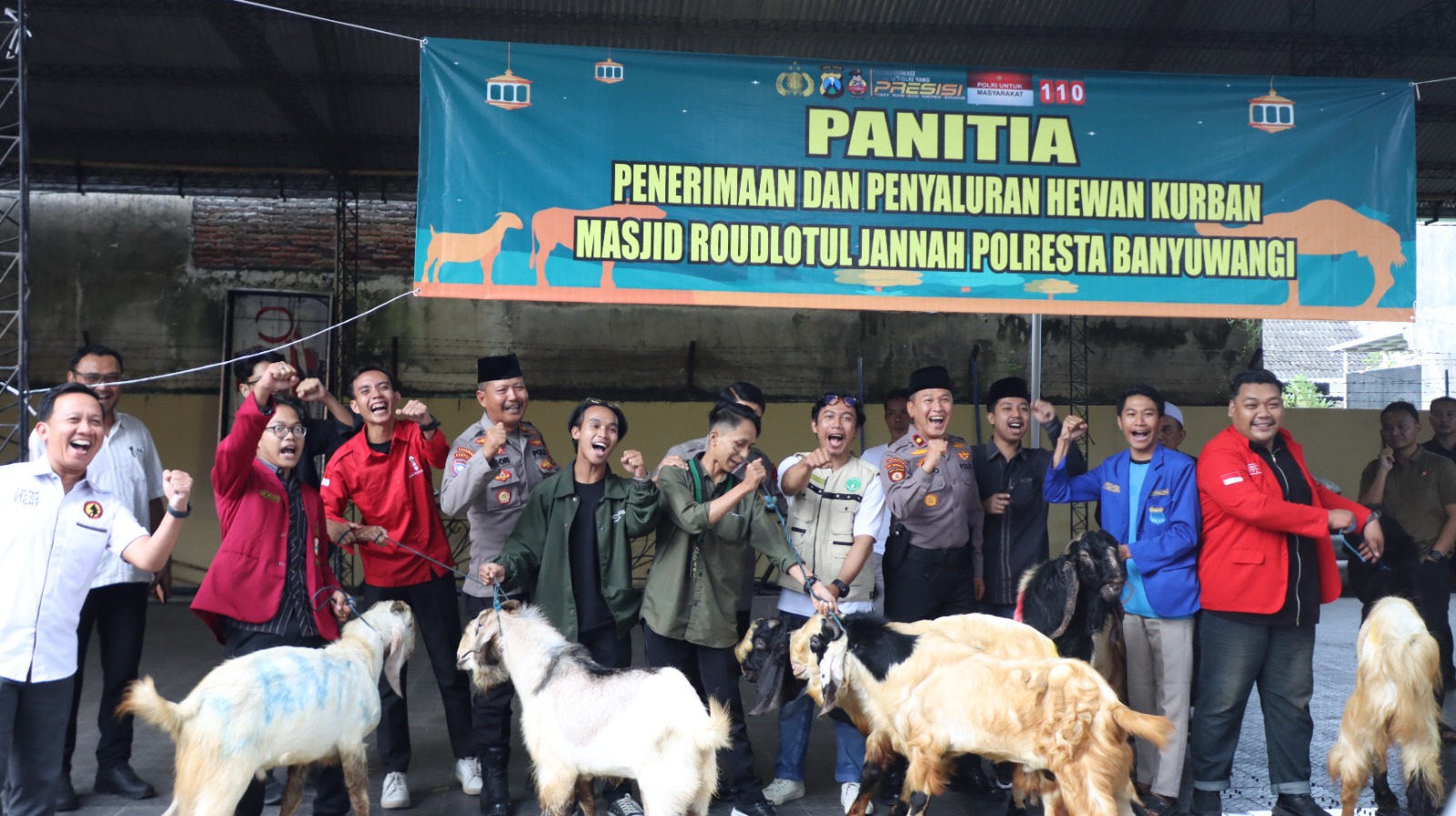 Wujud Syukur dan Kepedulian, Polresta Banyuwangi Salurkan Puluhan Hewan Kurban ke Pesantren, Masjid, Tokoh Agama, dan Ormek Mahasiswa